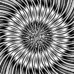 Neu filter, spokes 17 applied