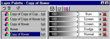 Layer palette settings